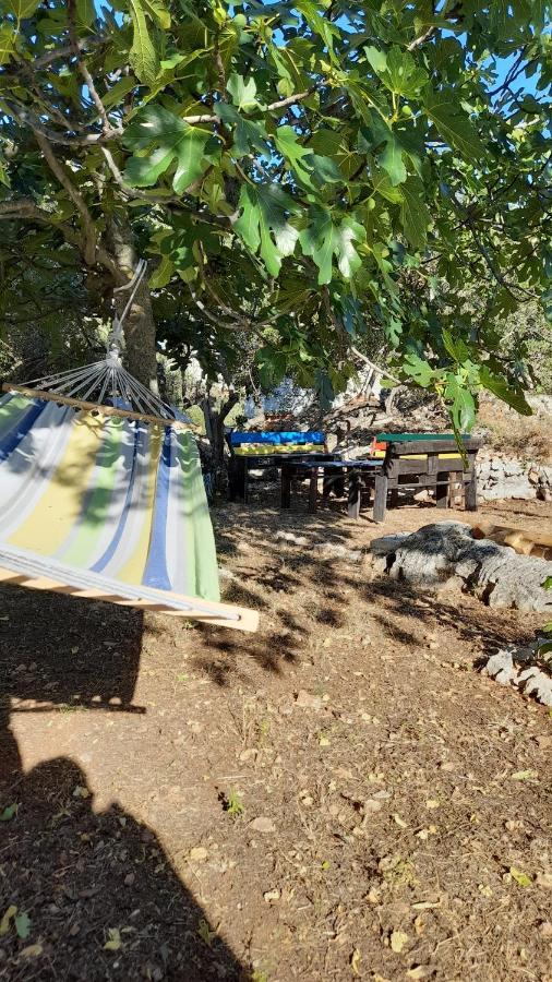 פרימוסטן Apartman Dida Jakov מראה חיצוני תמונה