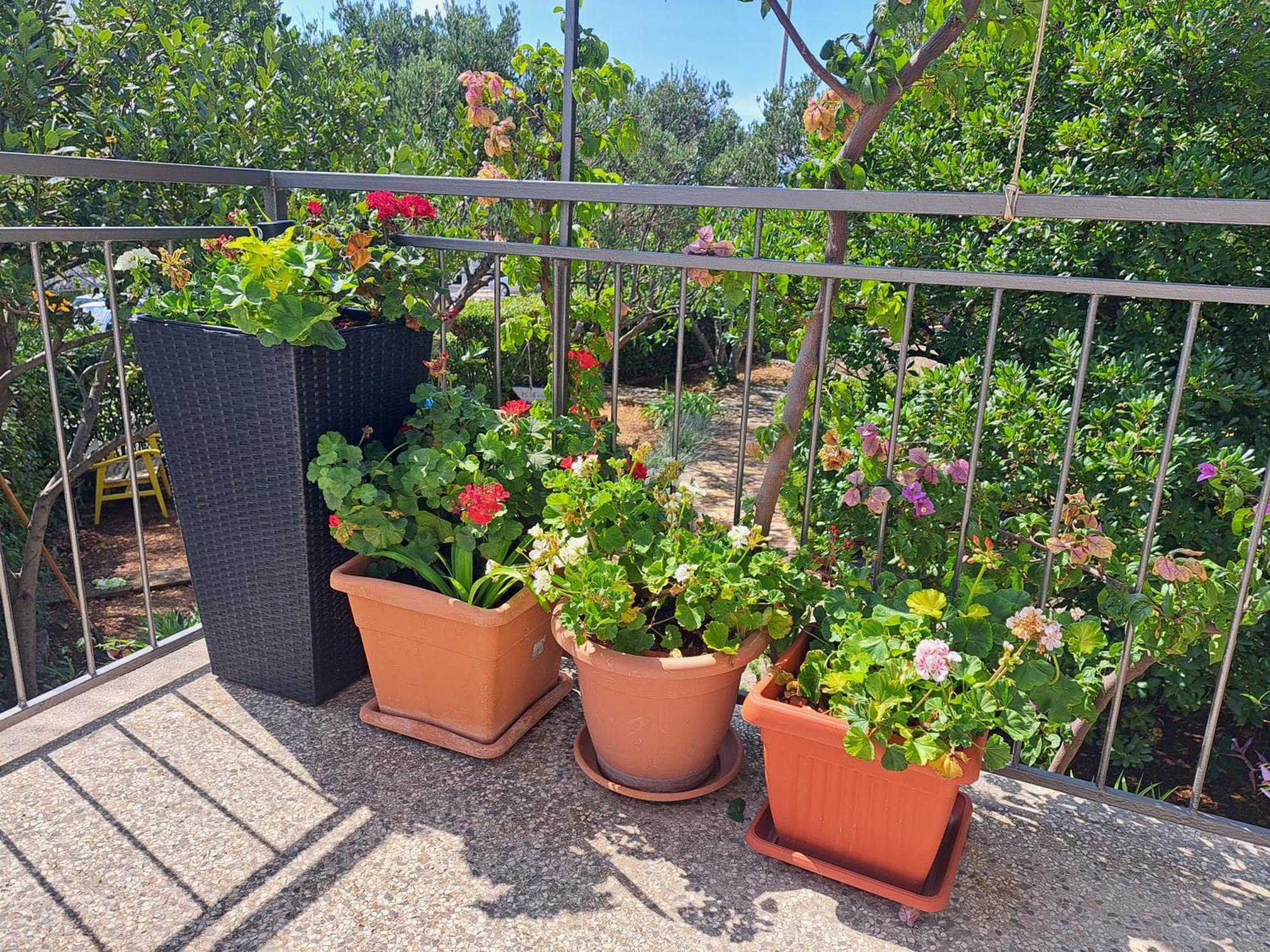 פרימוסטן Apartman Dida Jakov מראה חיצוני תמונה